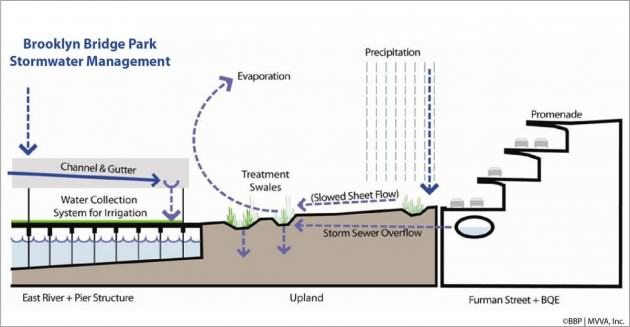 Diagram of storm water management system in Brooklyn Bridge Park. Credit: Brooklyn Bridge Park Conservancy/ Michael Van Valkenburgh Associates