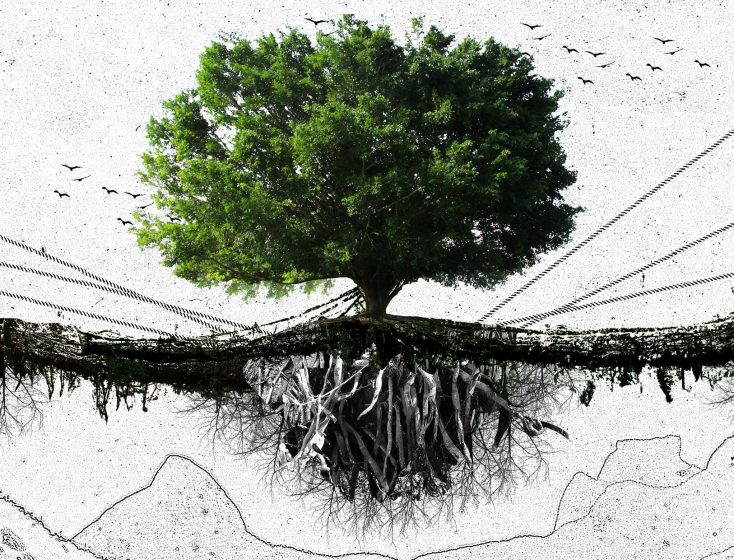 essay on greenwashing essay on greenwashing