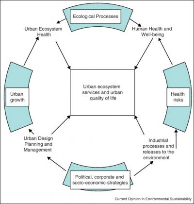 Simple diagram of key factors in the relationship between urban ecology and human health and well-being. Credit: http://www.sciencedirect.com/science/article/pii/S1877343512000966  