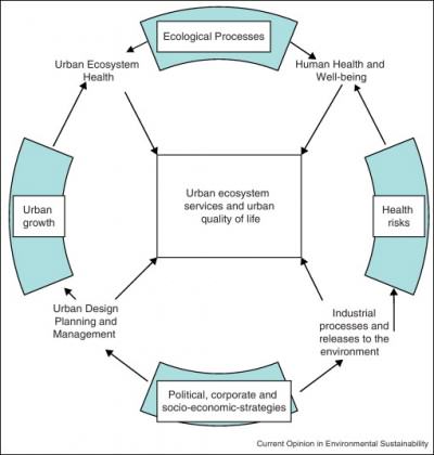 Simple diagram of key factors in the relationship between urban ecology and human health and well-being. Credit: http://www.sciencedirect.com/science/article/pii/S1877343512000966