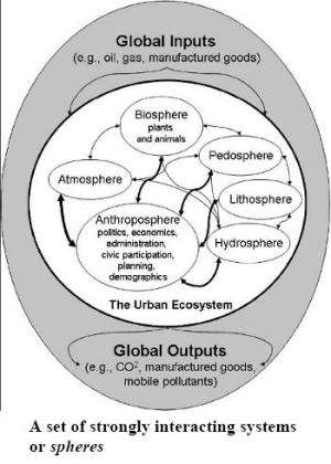 A Set of strongly interacting systems or spheres.  http://www.forestrynepal.org/notes/biodiversity/introduction/conservation-biology/urban-ecology 