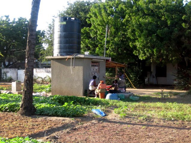 Urban Agriculture Has Many Benefits Is One Of Them A Contribution