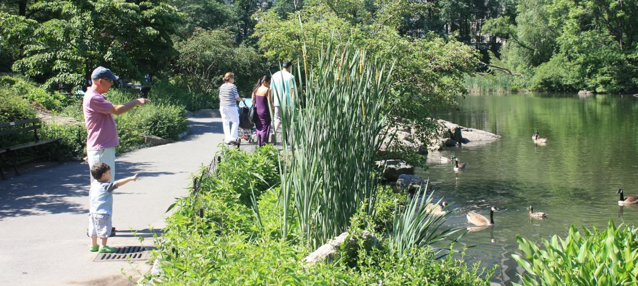 Exploring the Nature Pyramid The Nature of Cities