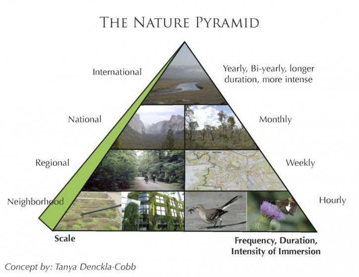 Exploring The Nature Pyramid The Nature Of Cities