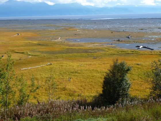 anchorage coastal refuge 1