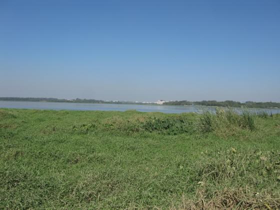 Picture 5