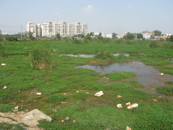 Picture 7
