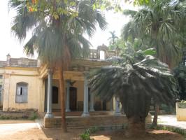 7_A heritage bungalow with rare trees in Bangalore