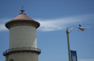 FresnoWaterTower.Photo—Katti&Gupta