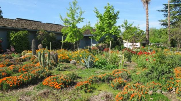 NativeGarden-Fresno.Photo—Katti&Gupta