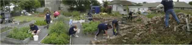 Volunteers from Pegasus Health helping at Fitzgerald Ave community garden, Dec 2012 http://greeningtherubble.org.nz