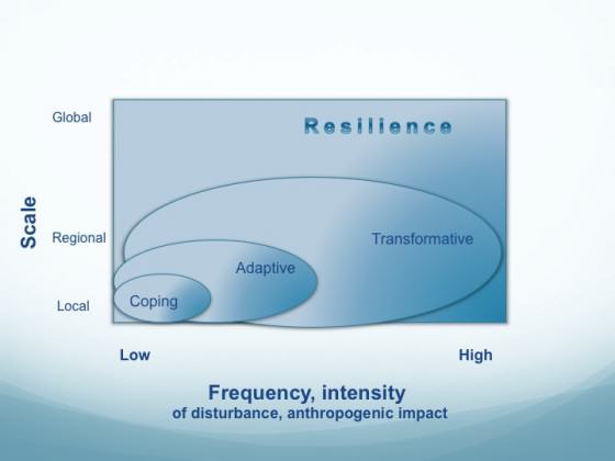 Coping, adaptive, transformative strategies in relation to spatial scales and intensity/frequency of disturbances and anthropogenic impacts.