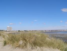 Native grassland on dunes in puerto Madryn, in Buenos Aires. Photo: A. Faggi