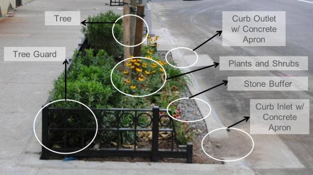 Diagram of Street Tree Bioswale.