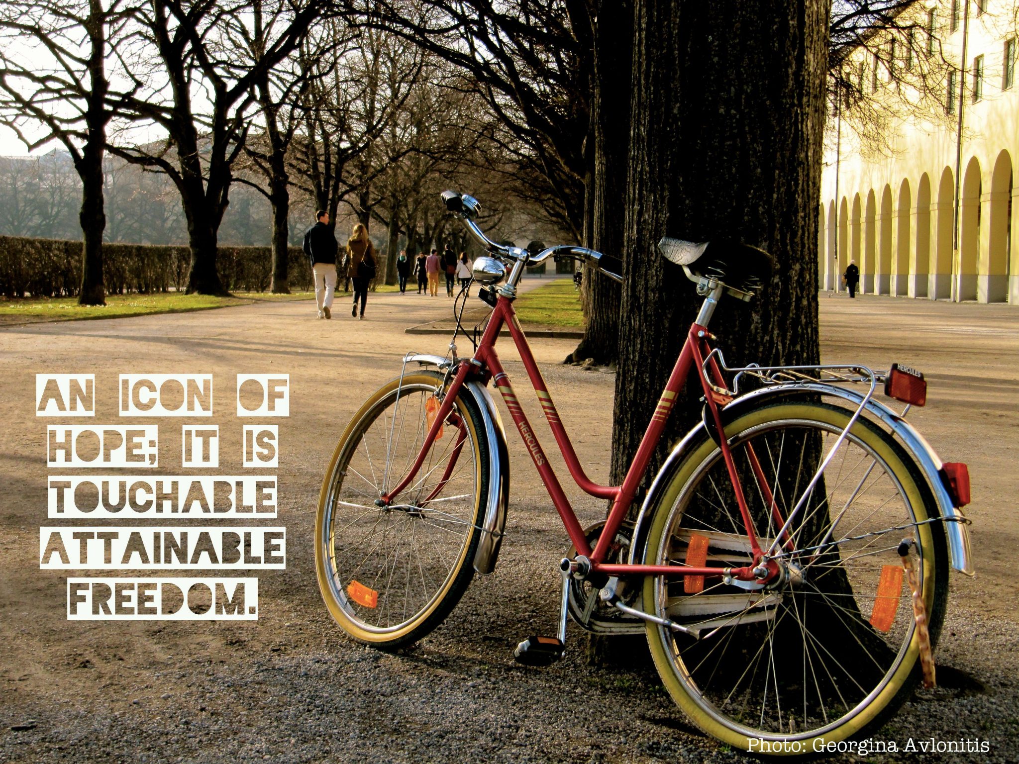 kun Trofast Gurgle The Bicycle is a Catalyst for Nature Conservation – The Nature of Cities