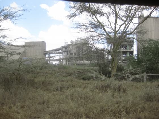 Dust from a cement factory adjacent to NNP renders vegetation unpalatable to wildlife, 2011. Photo: Glen Hyman