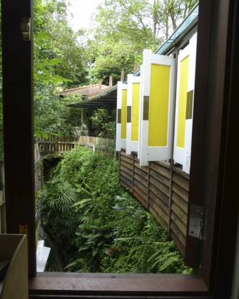 Another biodiversity-filled window view in Dr Thomas Easaw’s house. Photo: Cheryl Chia, National Parks Board, Singapore