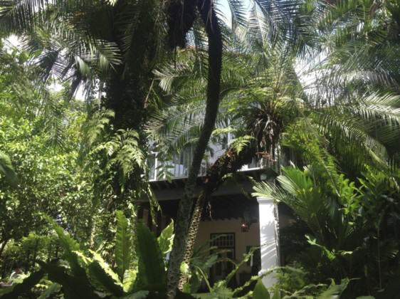 Au Jardin Les Amis in Singapore Botanic Gardens. Photo: Lena Chan, National Parks Board, Singapore