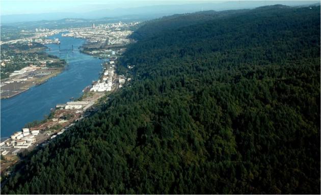 Aerial photo of Forest Park. Photo: Mike Houck