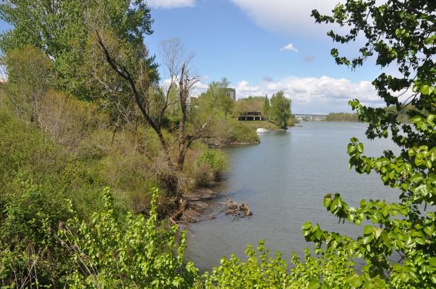 Heron Pointe Wetlands view downstream. Photo: Mike Houck