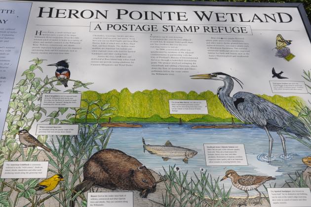 Heron Pointe Interpretive Sign. Photo: Mike Houck