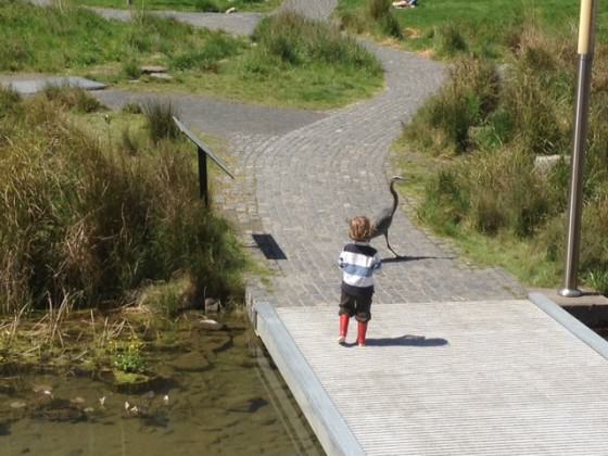 Child with Great Blue Heron at Tanner Springs. Photo: Mark Wheaton