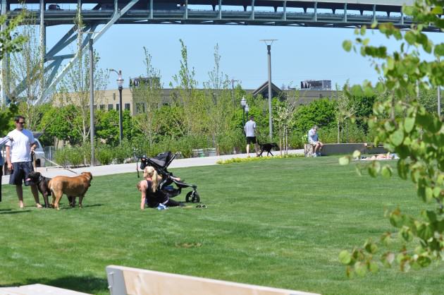 The Fields Park. Photo: Mike Houck