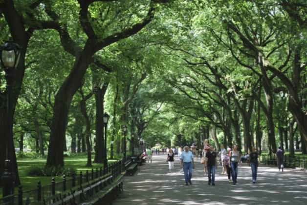 Central Park, New York City. Credit: http://www.lasaterwille.com/paperless