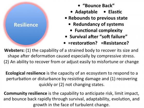 ResilienceDefs