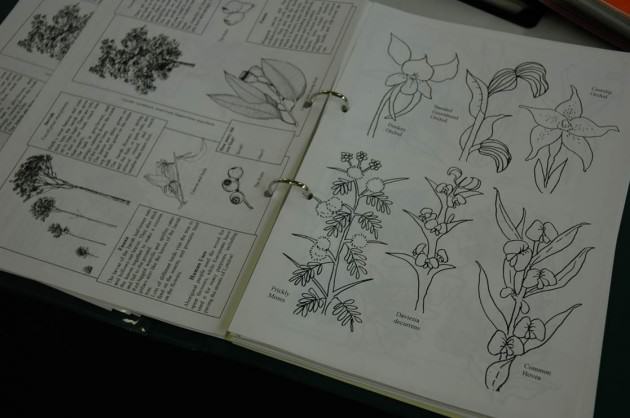 A booklet of plant species names. Photo: Tim Beatly