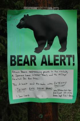 A sign at a trailhead warns people about recent brown bear activity. Photo: Alaska Department of Fish and Game