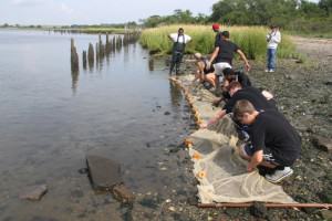 Jamaica Bay Restora¬tion Corps youth vol¬un¬teers busy at work dur¬ing the pre¬vi¬ous years’ marsh restoration (CUNY Insti¬tute for Sus¬tain¬able Cities at Hunter Col¬lege and Artist As Cit¬i¬zen, from http://newyork.thecityatlas.org/lifestyle/community-restore-jamaica-bay-salt-marsh/). 