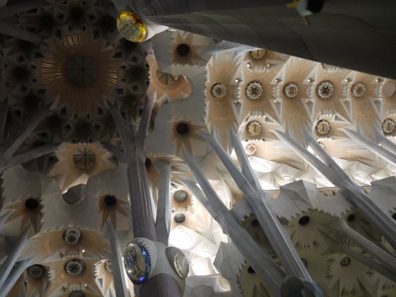 Tree-like columns at Sagrada Familia. Photo: André Mader