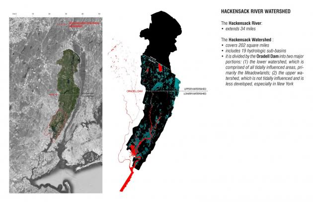 Restoration: a resisting landscape. Image: Luca Fillipi