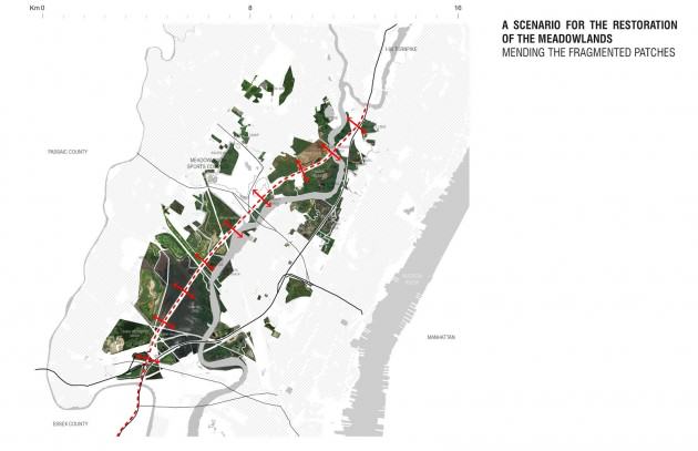 Renovation: a disturbance landscape. Credit Luca Fillipi