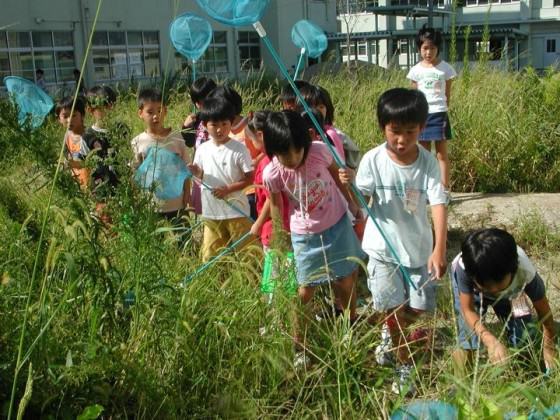 Children’s activity in the school biotope. Finding small insects and herbs, 2005. Photo: K. Hidaka