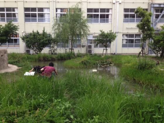 Schoolyard today in 2013, workshop and discussion is continued with teachers and our lab. students for keeping biodiversity. Photo: K.Ito