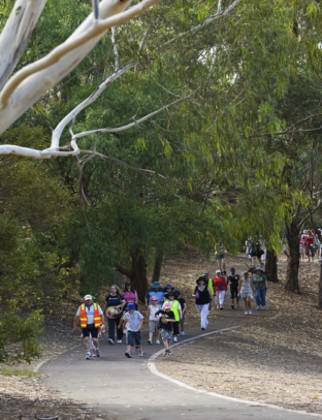 Volunteer-led community walking in a city park, Melbourne. Photo: Parks Victoria