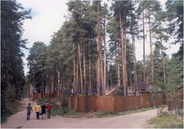 New Russian suburbia in pine forest in the outskirts of St. Petersburg