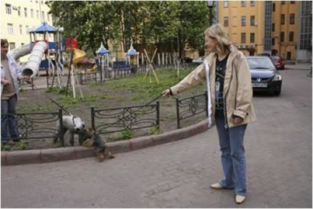 New life of old St. Petersburg inner courtyards