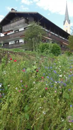 Naturalistic plantings resembling native meadows in Southern Germany. Photo: Ana Faggi