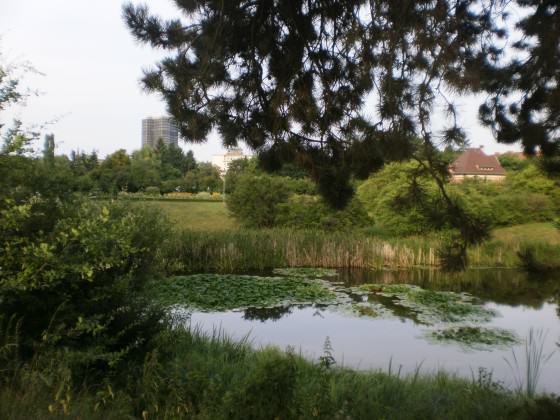 Berlin Botanic Garden. Photo: Ana Faggi