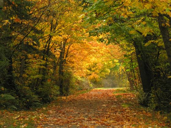 A rural section of the popular Galloping Goose Regional Trail in autumn.  Photo by Bev Hall.