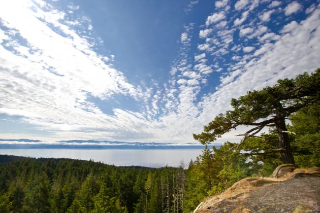 View from Babbington Hill, East Sooke Regional Park.  Photo by Mary Sanseverino.