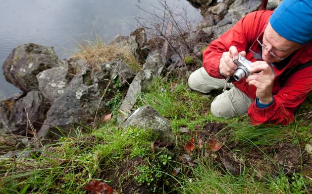 Photographing a rough-skinned newt.  Photo by Mary Sanseverino.