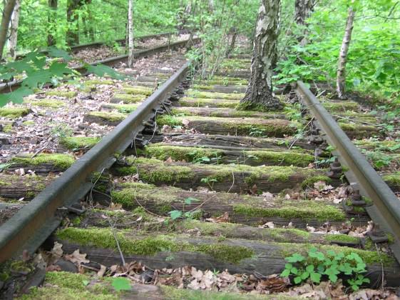 Schöneberger Südgelände, Berlin. Photo: Ana Faggi