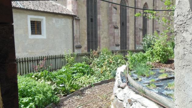 Smart Meran, Italy. Urban Agriculture downtown. Photo: Ana Faggi