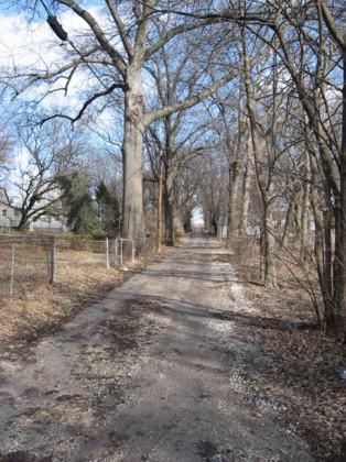 Spontaneous vegetation along fence rows in central Columbia.  Photo: Charles Nilon