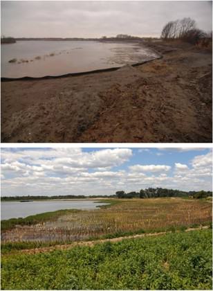 Gerritsen Creek, New York, before (upper image) and after (lower) restoration. Images courtesy of New York City Department of Parks and Recreation (NYC DPR)