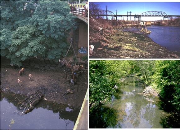 The Bronx River, before (upper right image) and after (lower right) restoration. Images courtesy of New York City Department of Parks and Recreation (NYC DPR)